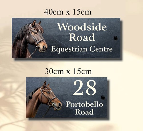 Equestrian horse high quality - equestrian, high-quality