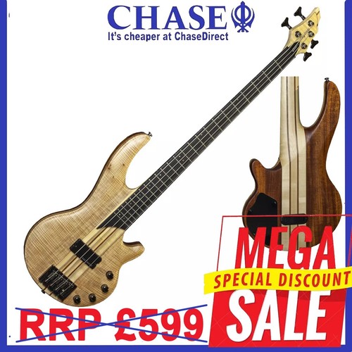 Bass guitar electric active - electric,