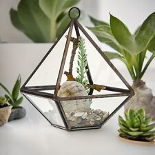 15cm Mini Glass Terrarium