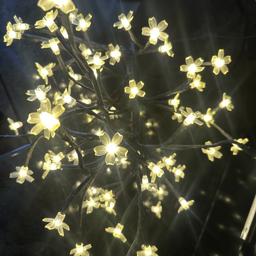 Blossom flower led - flower,