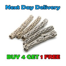 5X  Cholla Cactus Wood