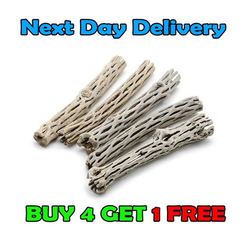 Cholla cactus wood - ,