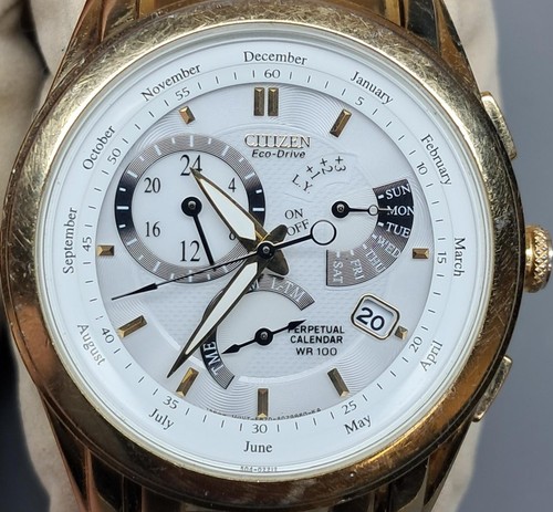 Citizen eco drive perpetual - citizen,