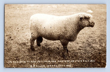 RPPC 1911. BAMPTON 7-49039