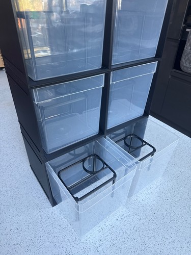 Modular braplast reptile - modular,
