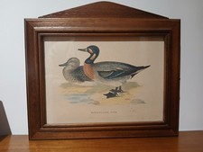 Bimaculated Duck wooden key