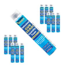 12X EVERBUILD PROFESSIONAL GUN