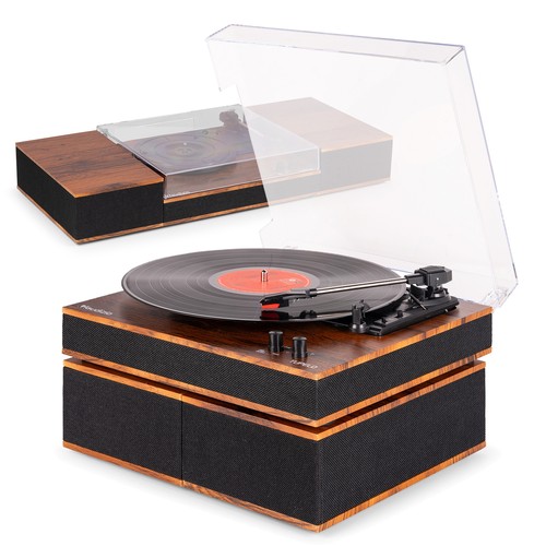 Audizio tupelo vinyl record - tupelo,