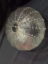 SEA URCHIN Glass Lamp Shade