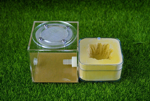 Ant acrylic plaster combo - acrylic,