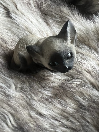 Siamese kitten figurine - kitten,