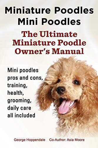 Miniature poodles mini - poodles,