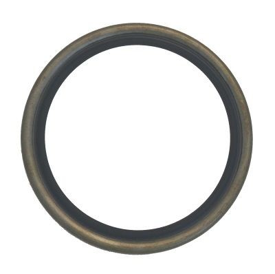Steering knuckle seal ring - seal,