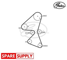 TIMING BELT FOR CITROËN DS