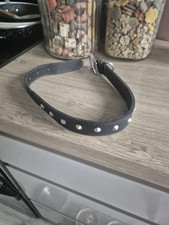 Leather Studded Dog Collar  60cm Buckle To Tip