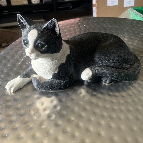Border fine arts cats - fine, &