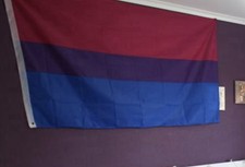 Bisexual Flag