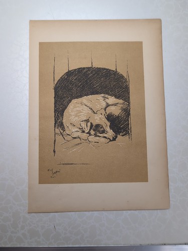 Original 1904 antique dog - 1904,