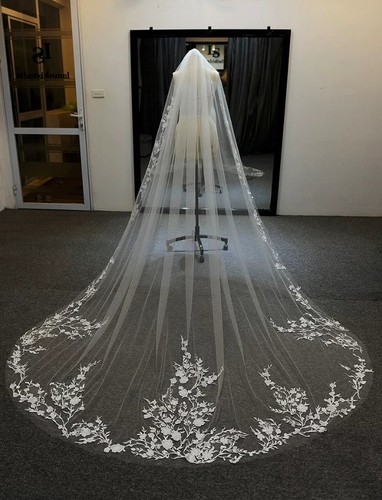 Wedding veil cathedral bridal - wedding,