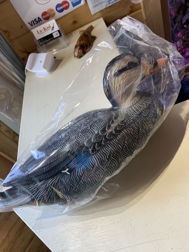 Floating duck for - floating,