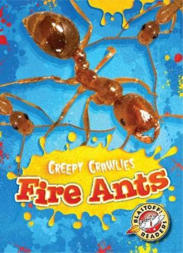 Kari schuetz fire - kari, ants