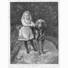 HEYWOOD HARDY Dog, He Won't Hurt You - Antique Print 1875