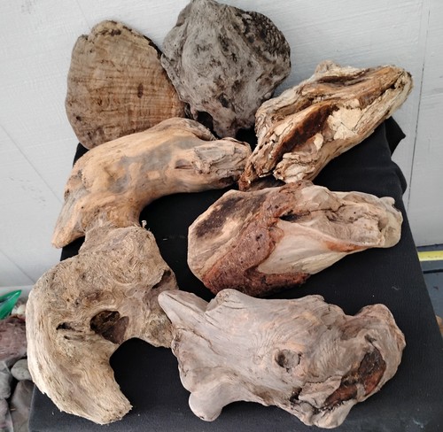 Lot driftwood chunks 7 - driftwood,