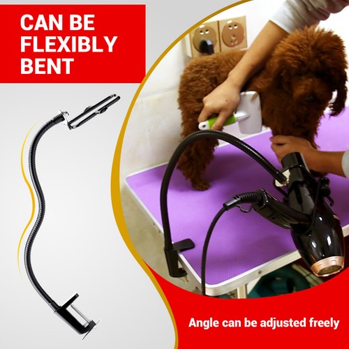 Dog hair dryer - dog,