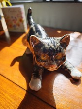 2 Winstanley  Cats 