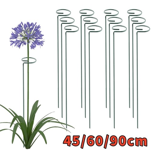 Single plant flower stem - single,