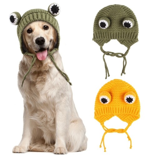 Funny pet frog hat - funny, dog