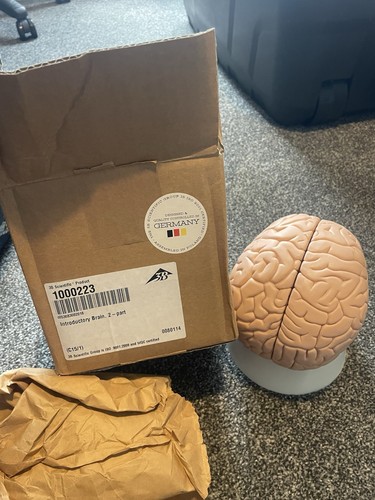 New box science brain - new, in