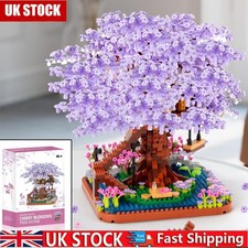 Purple Cherry Blossom Tree