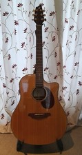 Electro acoustic guitar - electro,