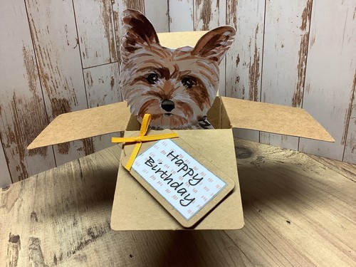 Yorkshire terrier dog birthday - yorkshire,