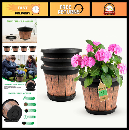 Pack large plant pots - plant,