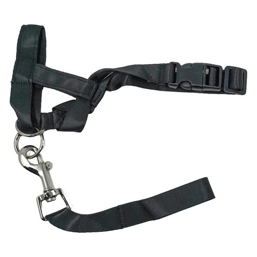 Headcollar non pull dog head - headcollar,