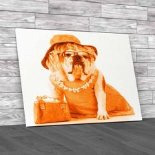 Fashionable Female English Bulldog In Stylish Orange Canvas Print Large Picture