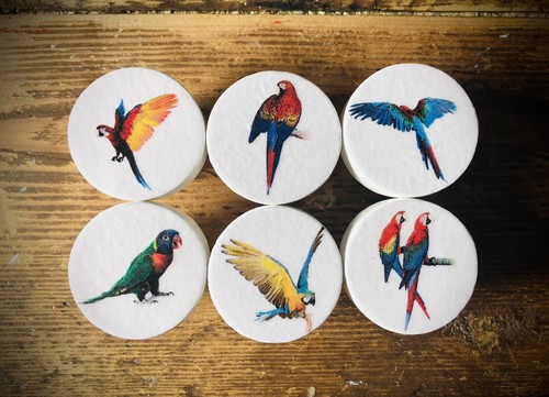 Handmade parrot macaw - parrot,