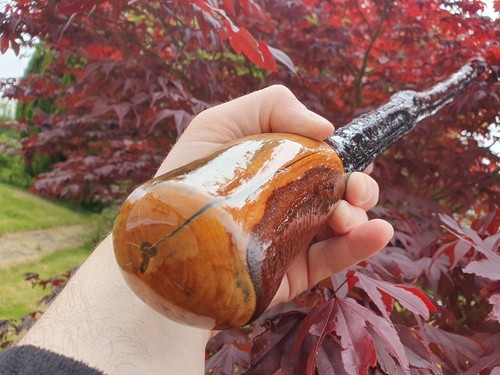 Irish blackthorn shillelagh - blackthorn,