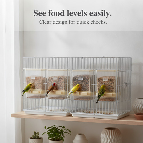 Automatic bird seed feeder - feeder, for