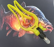 Tulip Top Roost resting March