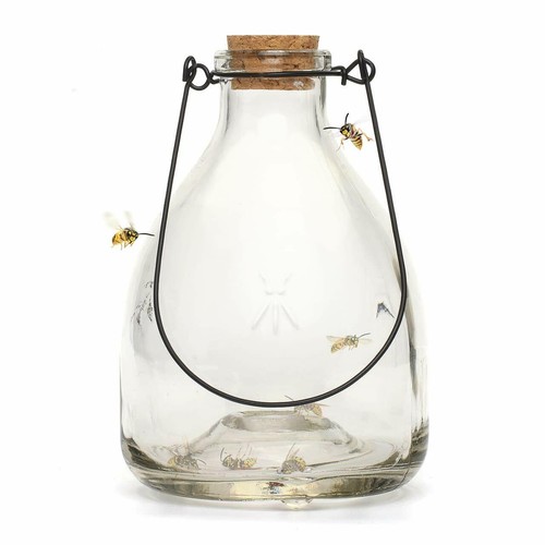 Glass wasp trap large hanging - wasp,