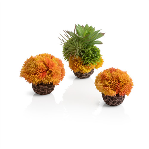 Biorb coral ball set aquarium - coral,