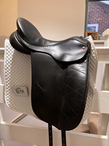 Albion style dressage - albion,