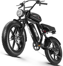 Electric Bicycle for Adult 48V