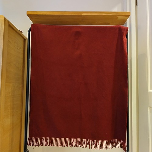 Pringle claret red - claret, 100%