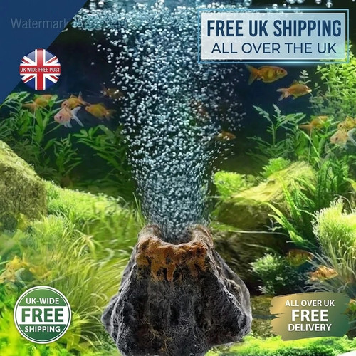 Aquarium oxygen pump - aquarium,
