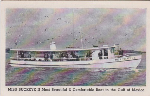 Miss buckeye deep sea - ii,
