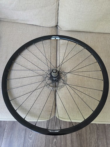 Rear halo white line disc - rear,